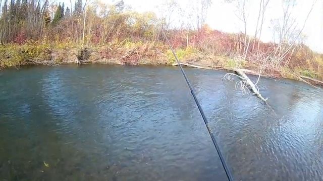 ловля хариуса 04 10 2020 смотреть онлайн