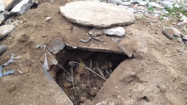 Овощехранилище Бхотия смотреть онлайн