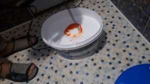 Как правильно замешать краситель с краской. Колеровка краски своими руками.