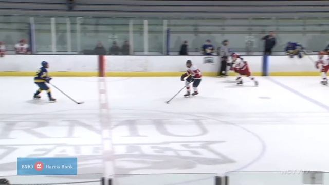 Lake Forest vs. Naperville Central, Hockey // 12.26.16 смотреть онлайн