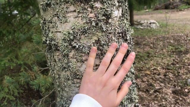 Темный Ритрит. Мой опыт. Карелия. Сат Марга. смотреть онлайн