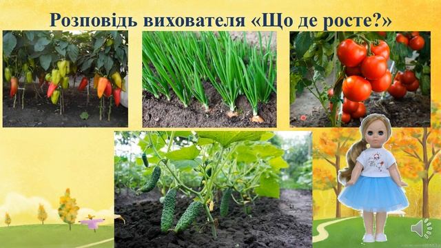 Відеозаняття з ознайомлення із природним довкіллям "Ходить гарбуз по городу" Молодша група смотреть онлайн