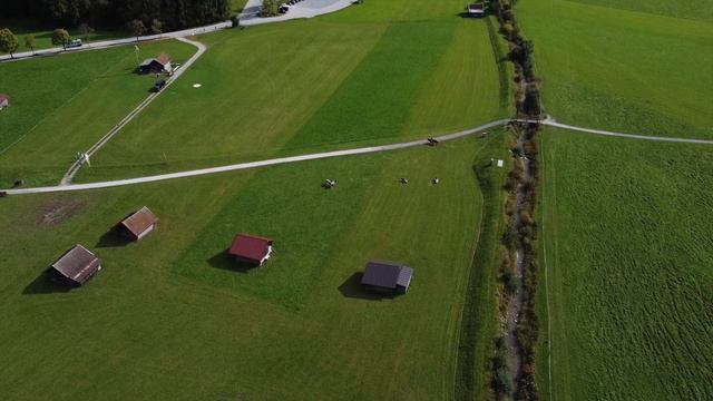 пастбище для коров.коровки пасутся.счастливые коровки на пастбище. Pasture for cows 4K смотреть онлайн
