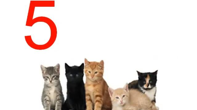 1 10 картинки звук смотреть онлайн
