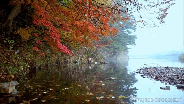 Ещё один сентябрь смотреть онлайн