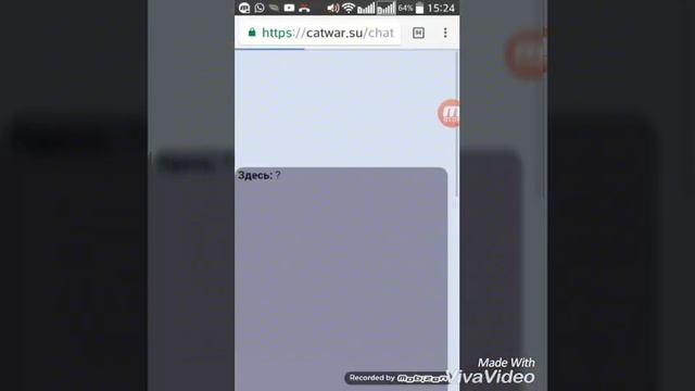 Catwar число пи? Я в отряде Чистых лапок? смотреть онлайн