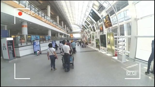 Hong Kong Airport Bus A21 Airport to Tsim Sha Tsui kowloon смотреть онлайн