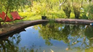 Пруд на даче в природном стиле.