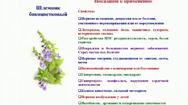 Релаксина Паник - вебинар доктора Н.А. Гусакова город Москва смотреть онлайн