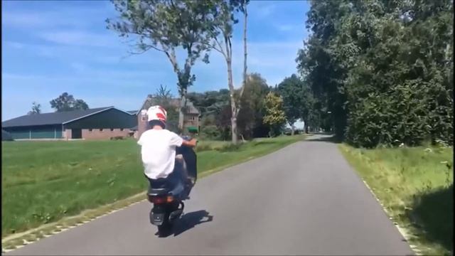 ZIP SP 98 | ZIP 2000 | WHEELIES | TOP SPEED | AND MORE смотреть онлайн