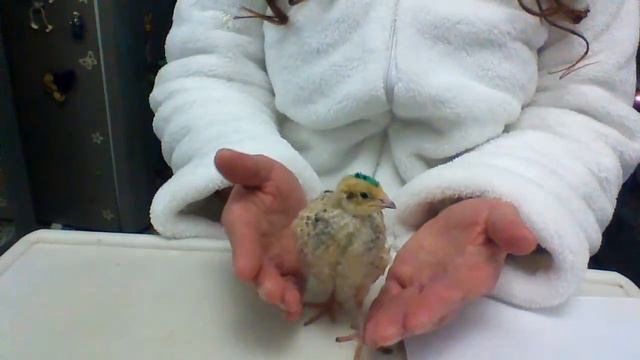 13 Старый Новый год смотреть онлайн