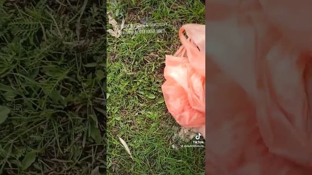 Благодарю всех тех,кто не равнодушен к животным! НИЗКИЙ ПОКЛОН ВАМ!!!