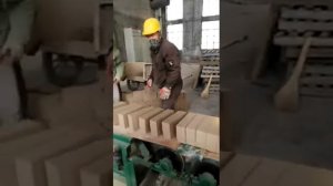 Вакуумный экструдер для производства кирпича из глины