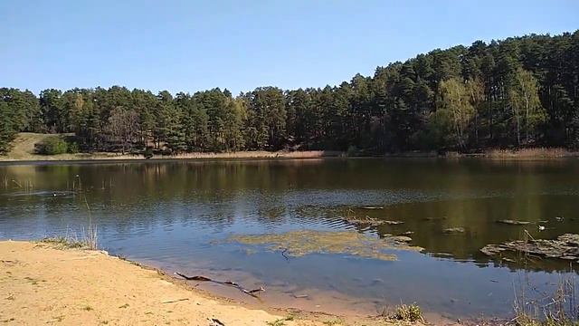 Река Саминка в Барвихе. Отдых и единение с природой в городской черте. смотреть онлайн