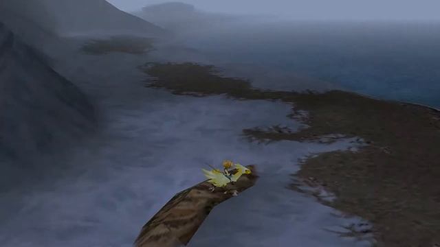 Unmarked Chocobo Treasures Guide - Final Fantasy IX