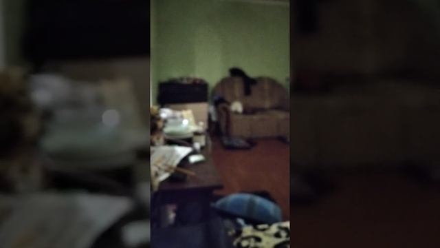 Только камера нам поможет!!! Без неё ну никак декабря 2019 г.