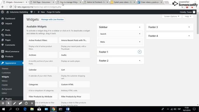 How to manage Widgets from the Frontend in WordPress смотреть онлайн