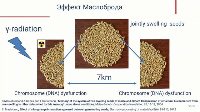 Запутанность в макроскопических системах, Сергей Кернбах смотреть онлайн