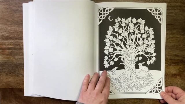 Witchcraft - Jessica Mazurkiewicz for Creative Haven //Adult Colouring Book Flip Through смотреть онлайн