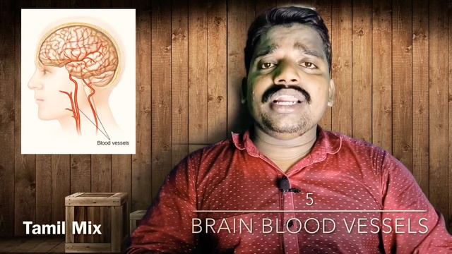 Facts About Human Brain | Top 10 | Tamil Mix | Murugavel