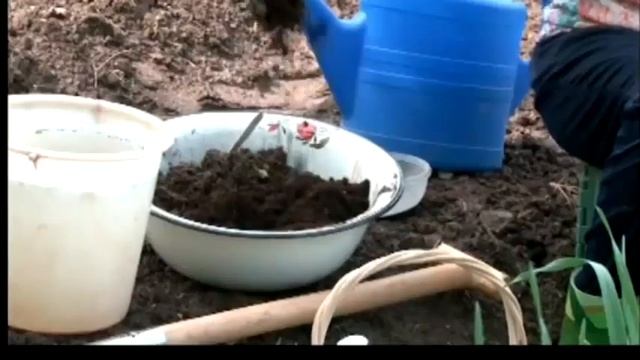 Как ухаживать за озимым Чесноком смотреть онлайн