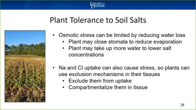 Soils and Salts: From Fertilizer to Tidewater смотреть онлайн