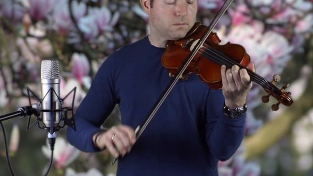 Someone You Loved – Cello, Violin смотреть онлайн