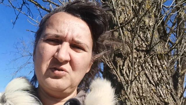 Время чёрного тополя смотреть онлайн