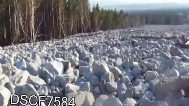 Аршан,2015 год смотреть онлайн