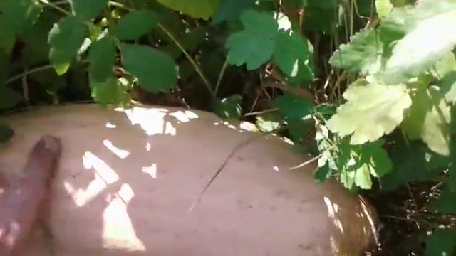 Зимний кабачок смотреть онлайн
