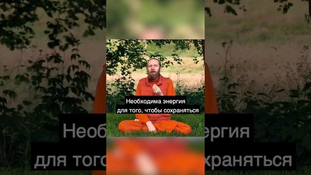 Чтобы просто остаться на месте, тебе нужно бежать со всех ног смотреть онлайн