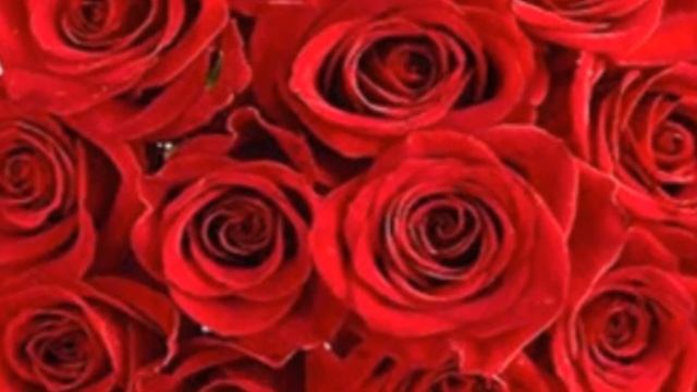 Цветы для МАМЫ. Очень красивая песня для МАМЫ. смотреть онлайн