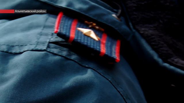 С 17 апреля в Альметьевском районе произошло 73 природных пожара смотреть онлайн