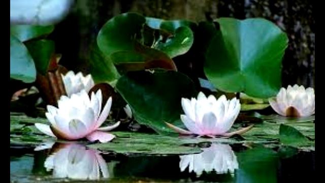 КЛИН КЛИНОМ ВЫШИБАЮТ Переход в 5 измерение 2019 Отец АБСОЛЮТ приняла Марта смотреть онлайн