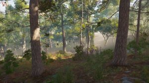 КОТЫ ВОИТЕЛИ - 3. Лес Секретов #23-24.