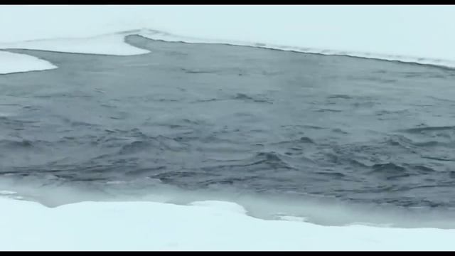 песня "Волчица" слова, музыка, исполнение Марата Тюльбаева Республика Казахстан смотреть онлайн