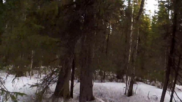 Тропа на Смердье. 14.04.2018. Рыбалка на севере. Зимняя рыбалка.Winter fishing.Mormyshka. смотреть онлайн