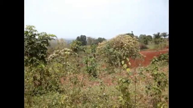 1.4 acres on the Nile Jinja смотреть онлайн