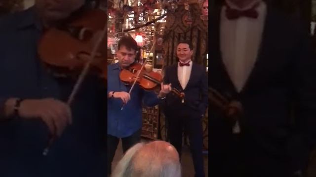 Люблю скрипку