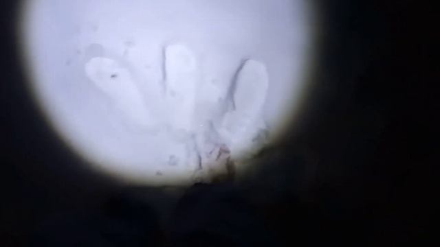 Закалка босиком по снегу:) смотреть онлайн