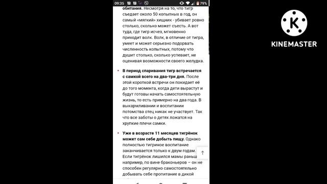 Все, что нужно знать о тигре •| Уход и содержание|• ^О тигре^ смотреть онлайн