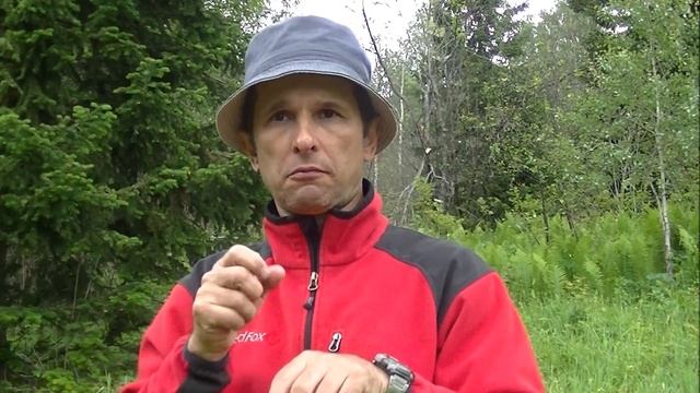 Альпийский горный козёл смотреть онлайн