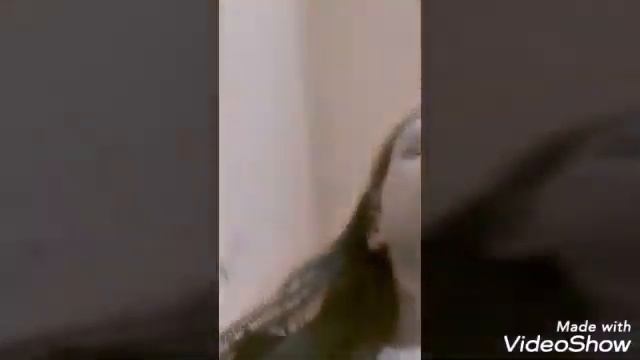 Vlog иду на кружок рисования смотреть онлайн