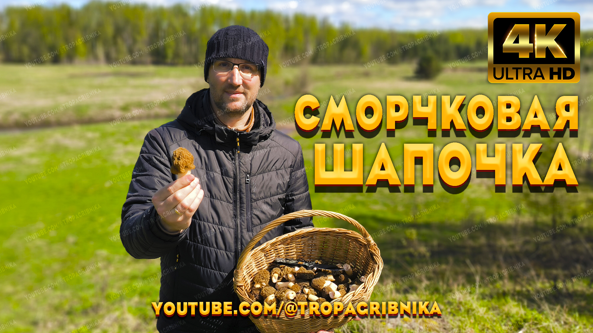 Сморчковая Шапочка Порадовала Грибников Массовым Ростом На Майские Праздники. Verpa Bohemica смотреть онлайн