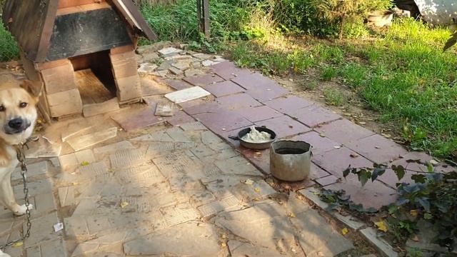 Купили ОФИГЕННОЕ мясо на ШАШЛЫК ? | Ловим ТЕПЛЫЕ деньки ?? | Вася ОТ радости НАТВОРИЛА ДЕЛ ?♀️ смотреть онлайн