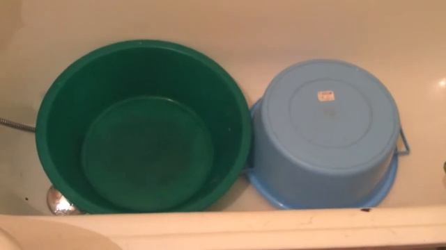 Помыли кота (fail) (я оператор) смотреть онлайн