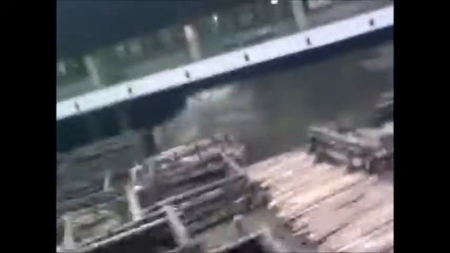 БЕРЕСТЬЕ смотреть онлайн