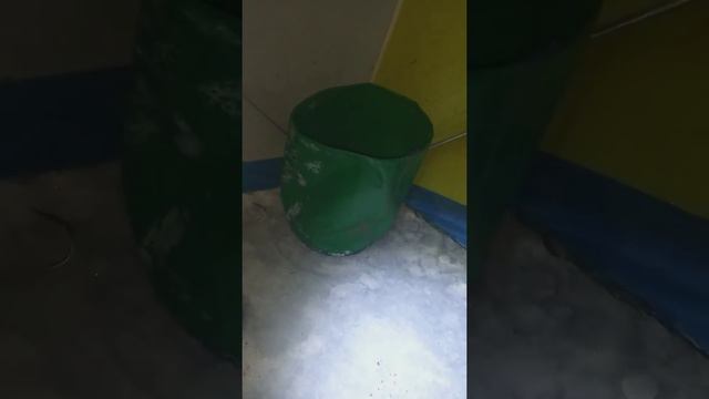 Зимняя рыбалка "Тополя"Печенежское водохранилище 19.01.2022 смотреть онлайн