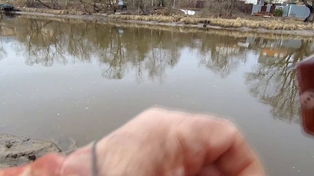01 апреля 2023 года Ловля весенней плотвы на реке Десне! Ловля в проводку! смотреть онлайн