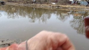 01 апреля 2023 года  Ловля весенней плотвы на реке Десне! Ловля в проводку!